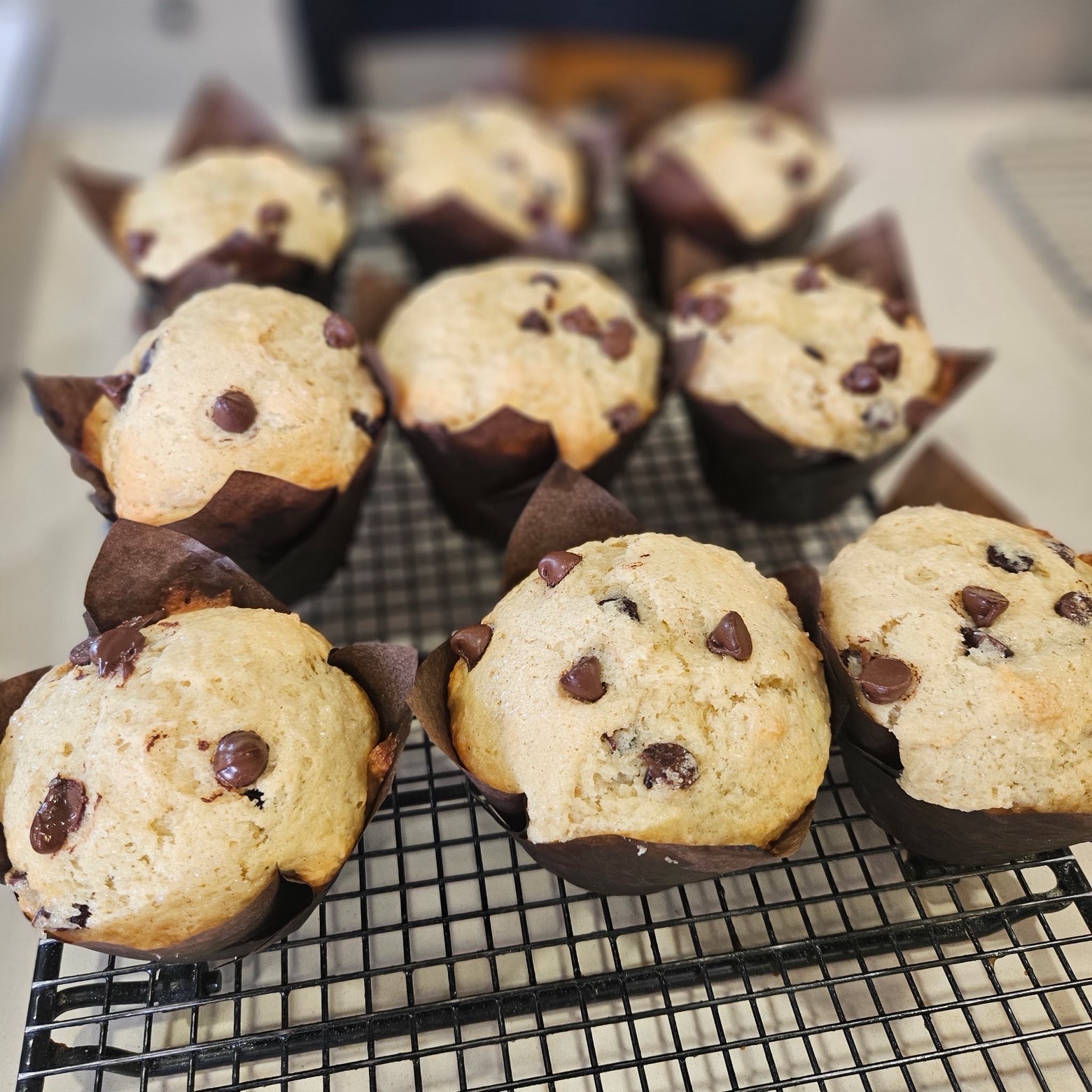 Chocolate chip muffins on cooling rack