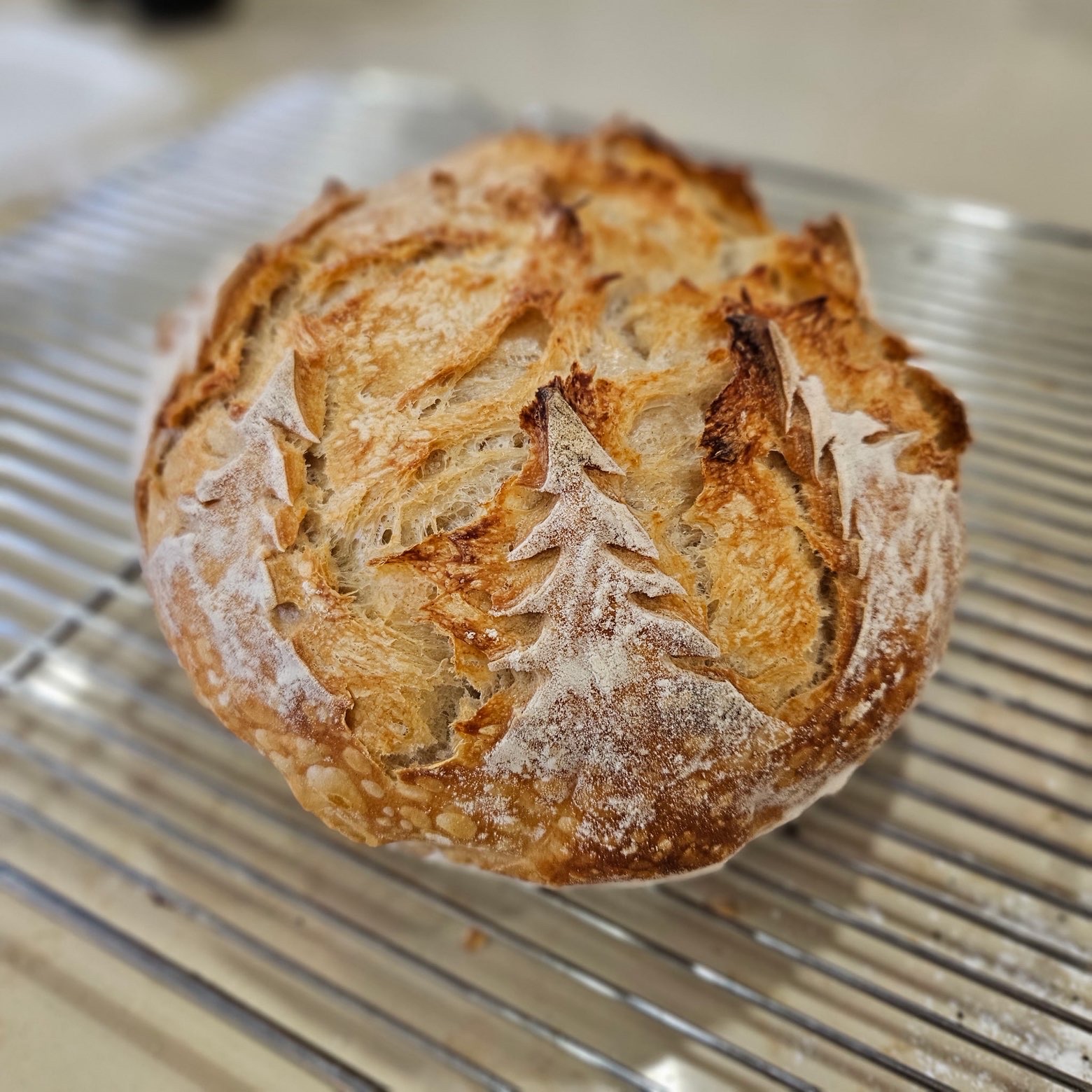 Sourdough with Christmas tree score