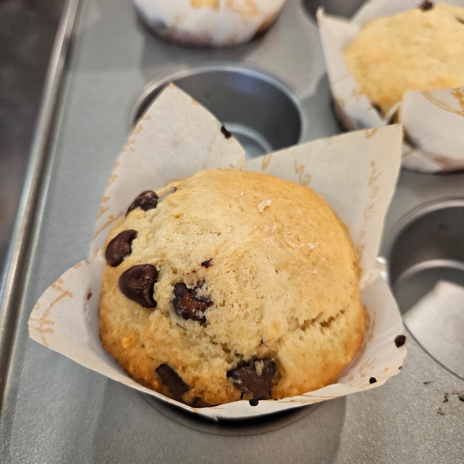 Chocolate chip muffin close-up